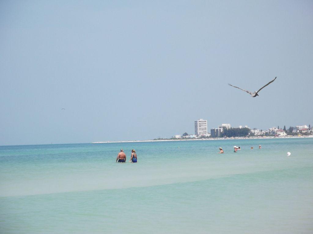 1+1 Large Condo Sarasota Ngoại thất bức ảnh